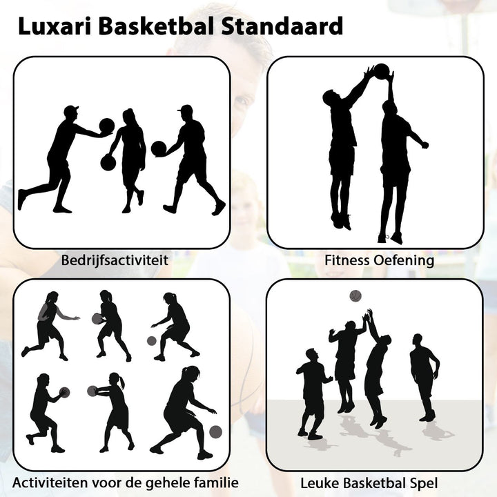 Luxari Basketbalpaal Pro