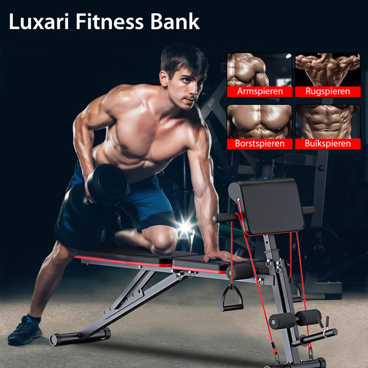 Luxari - Fitnessbank + Bicep Extensie