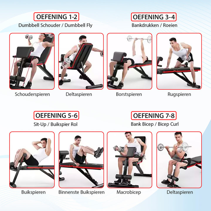 Luxari - Fitnessbank + Bicep Extensie