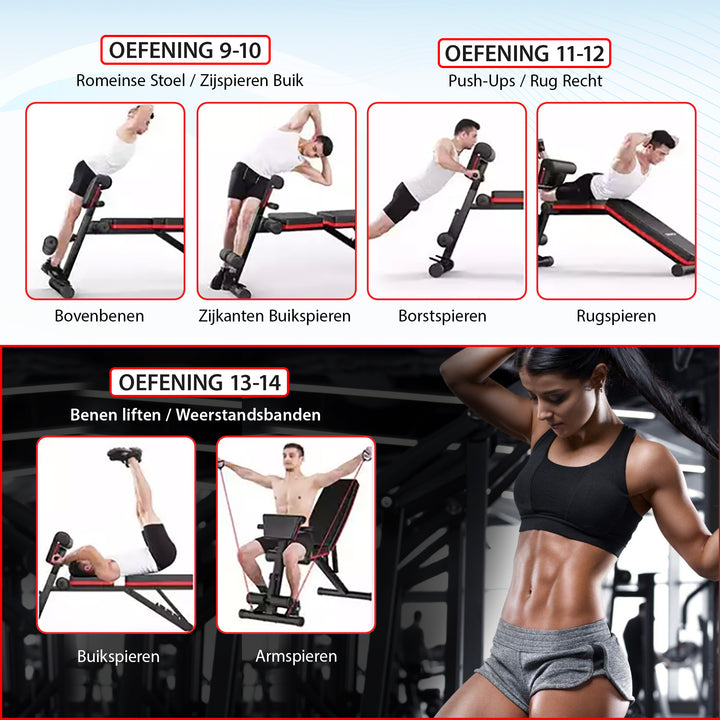 Luxari - Fitnessbank + Bicep Extensie
